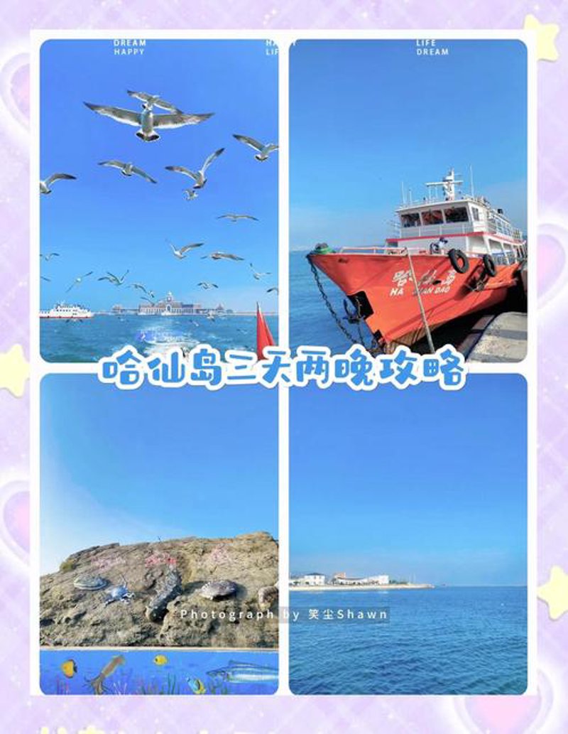 哈仙岛攻略